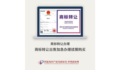 伊寧商標注冊代理服務選擇指南 如何找到靠譜的代理公司